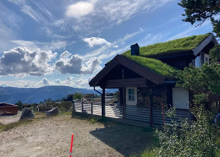 Vradal Panorama